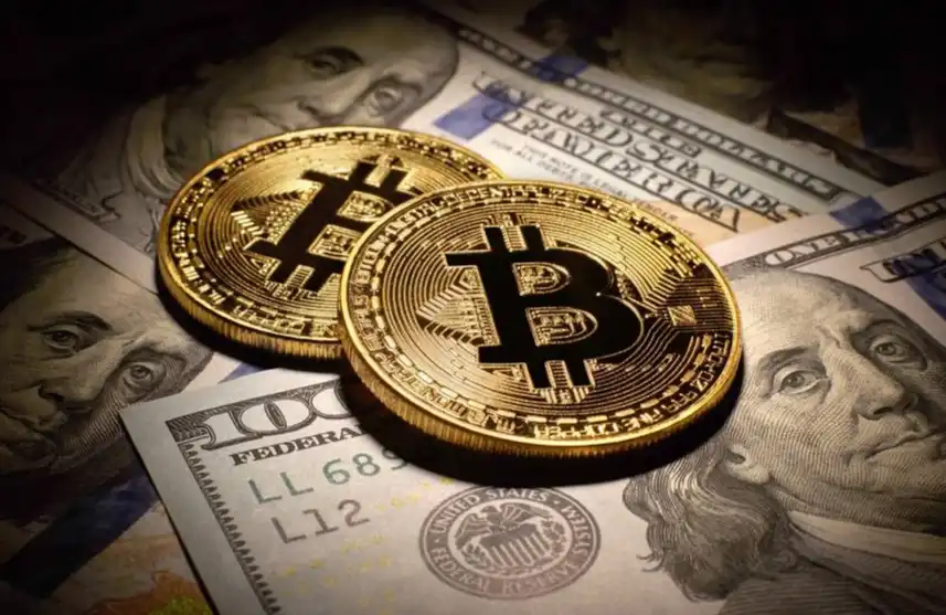 Thợ săn "tàng hình" 45 triệu USD: Lý thuyết tiến hóa giao dịch của Chị Mèo