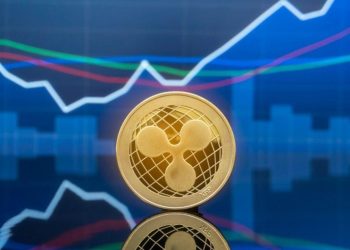 2025年，这家最大的XRP储备公司表现如何