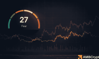 Tại sao ‘sợ hãi’ lúc này không có nghĩa là ‘mua vào đáy’