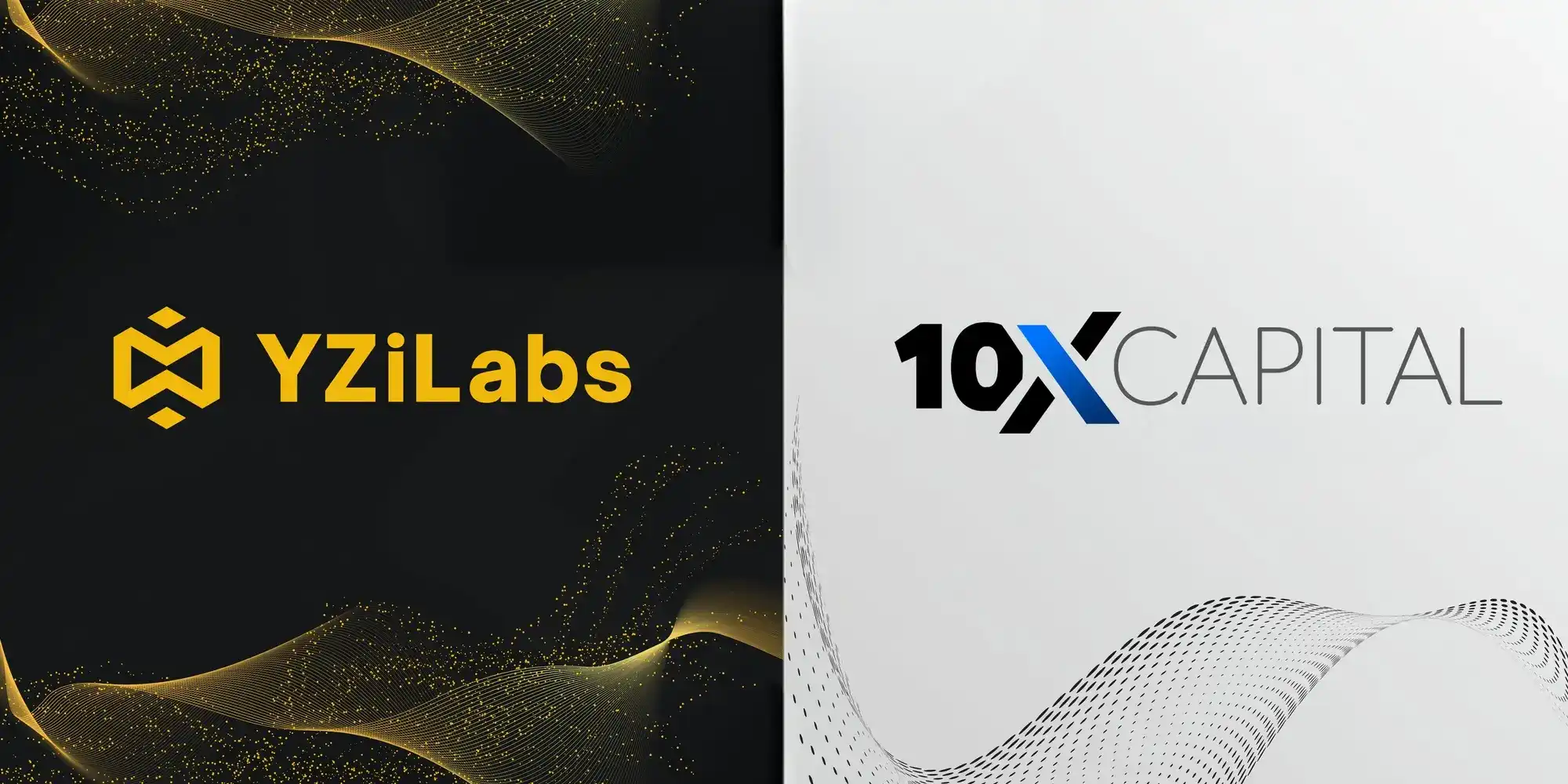 YZi Labs 指控 10X Capital「背信弃义」、管理不善，「维权」与「夺权」之战已正式打响？