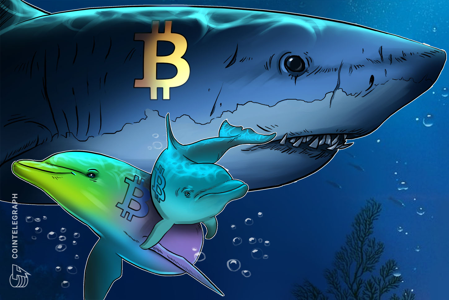 Los tiburones de Bitcoin acumulan al ritmo más rápido en 13 años, con el BTC cayendo un 30%
