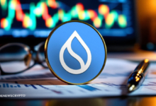 SUI Sees Mild Uptick as Price Holds Key Support Around $1.40