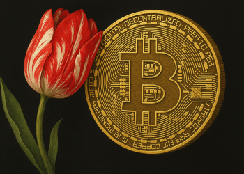 Bitcoin Bubble Worse Than Tulip Mania, Claims ‘Big Short’ Michael Burry