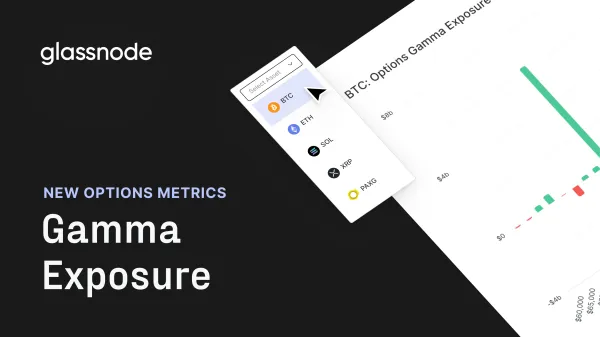 Memperkenalkan: Taker-Flow-Based Gamma Exposure