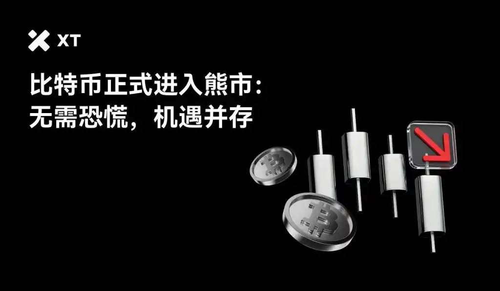 比特币正式进入熊市：链上证据、资金流向与投资者如何获利