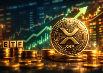 Wall Street Continue d'Acheter du XRP : Les ETF au Comptoir Américains Enregistrent 19 Jours Consécutifs d'Entrées de Capitaux