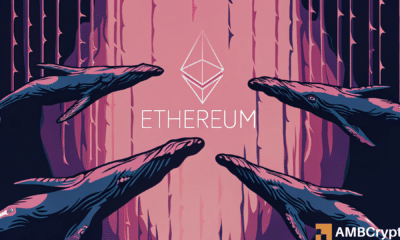 Ethereum whales add $850mln in 2 days as ETH stalls – Here’s why!
