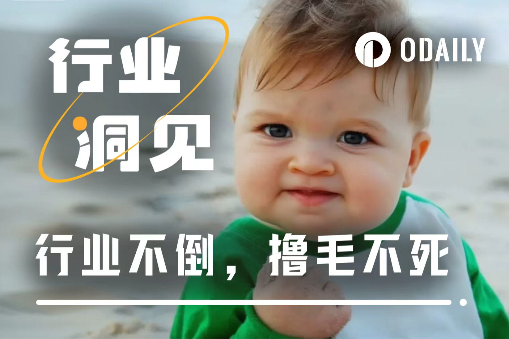 2025撸毛生存法则：昔日遍地黄金，如今全靠这两张底牌