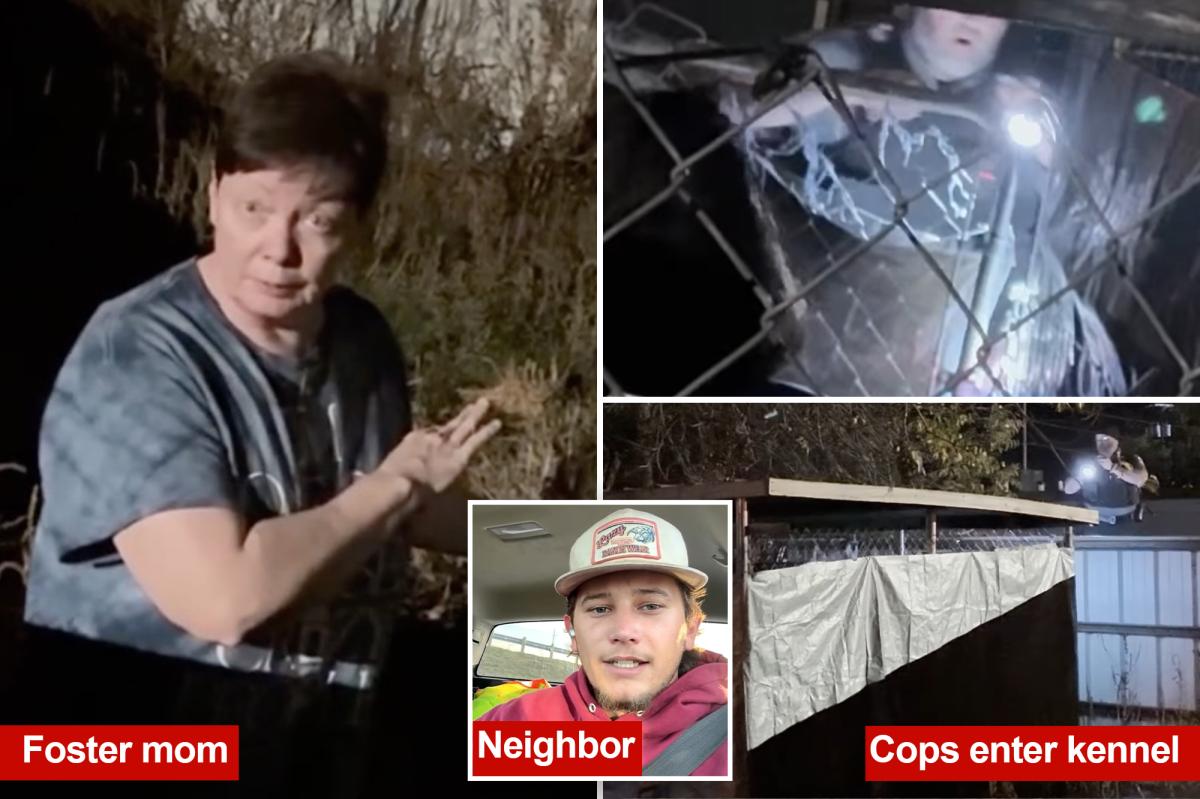 智障女子被发现锁在狗笼中——邻居听到尖叫声后报警