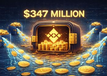Binance Menerima $347 Juta Bitcoin saat Dompet Terkait Matrixport Melepas Aset