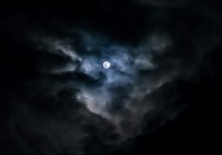 Token Cardano NIGHT Meledak dengan Volume Perdagangan Hampir $10 Miliar dalam Sehari?