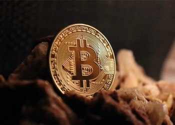 Economist Reveals His Biggest Bitcoin Mistake – You Won’t Believe What It Is