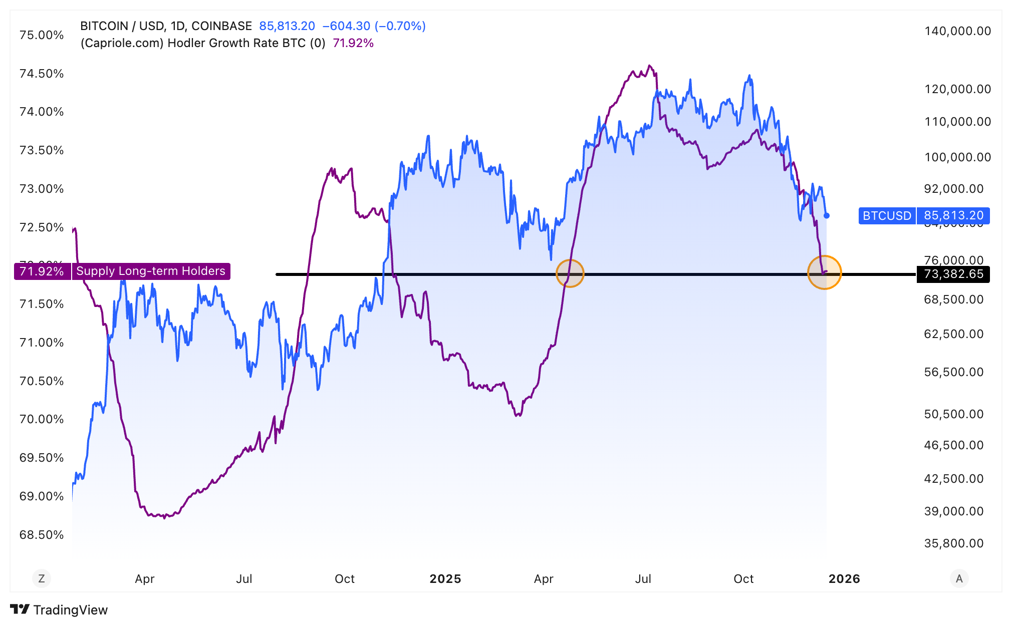 获取最新加密货币快讯新闻和深度内容-市场更新| P网