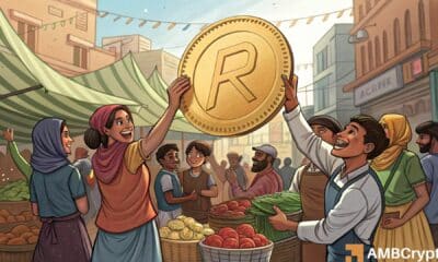 关于RAVE的首秀——300万美元收入、9家交易所上线及更多详情