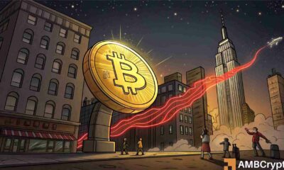 Cá voi Bitcoin chuyển 230 triệu USD lên sàn giao dịch, nhưng BTC vẫn giữ vùng giá – Tại sao?