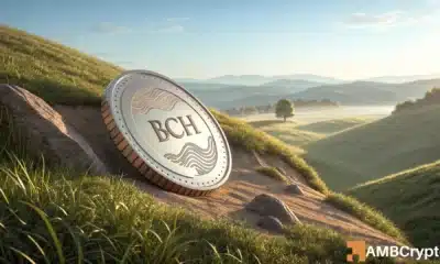 Hiểu về mức tăng 10% của Bitcoin Cash giữa sự phân chia thị trường giao ngay và phái sinh của BCH