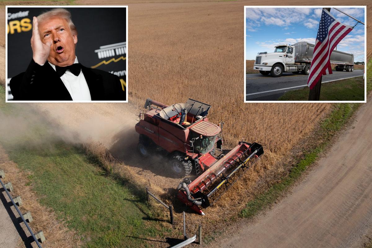 特朗普将宣布为农民提供120亿美元的新经济援助