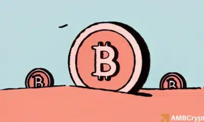 ‘Musim Altcoin belum berakhir’ – Mengapa tahun 2026 mungkin menjadi tahun yang perlu diperhatikan