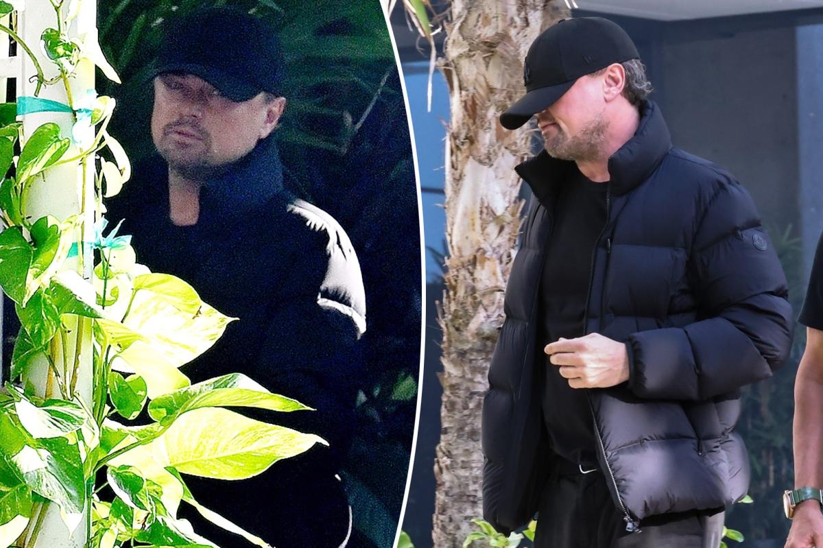 Leonardo DiCaprio stays under the radar while hitting Miami’s VIP party scene during Art Basel