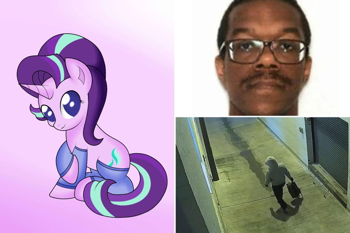 DC pipe-bomb suspect Brian Cole Jr. has secret online life obsessing over ‘My Little Pony’