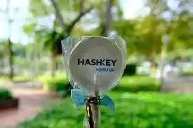 Why Can HashKey Become Hong Kong's 'First Crypto Stock'?