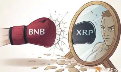 解析BNB的强势表现：XRP在高市值排名中失守