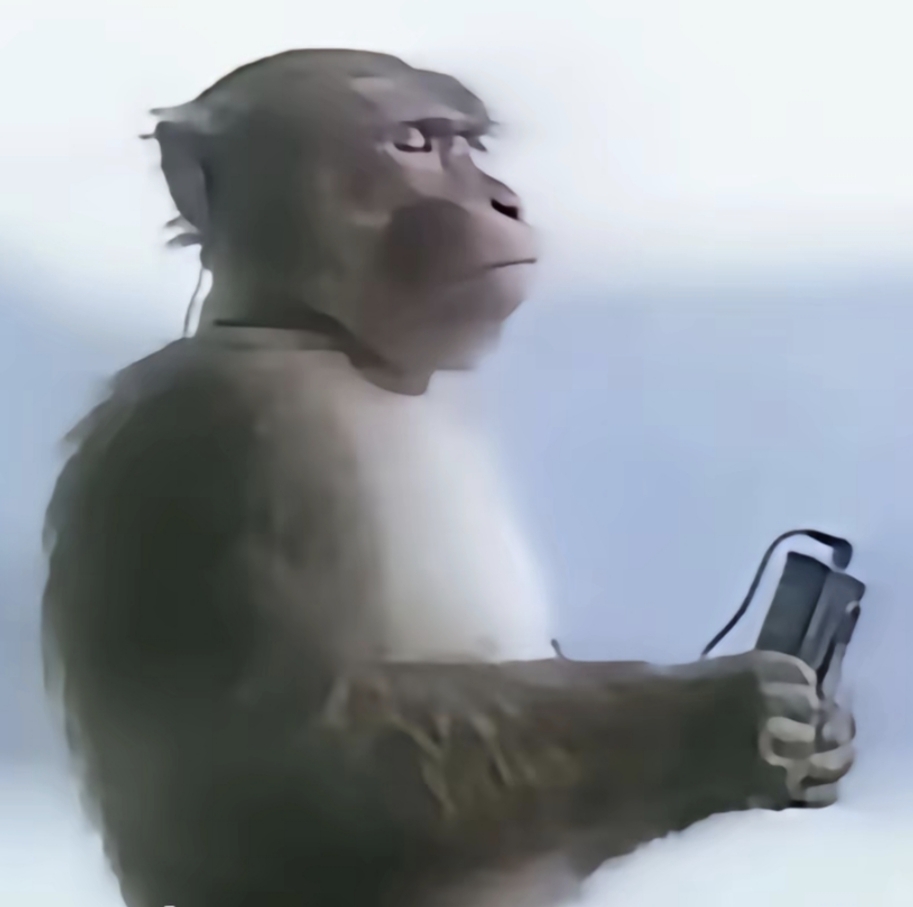 Picture of the author