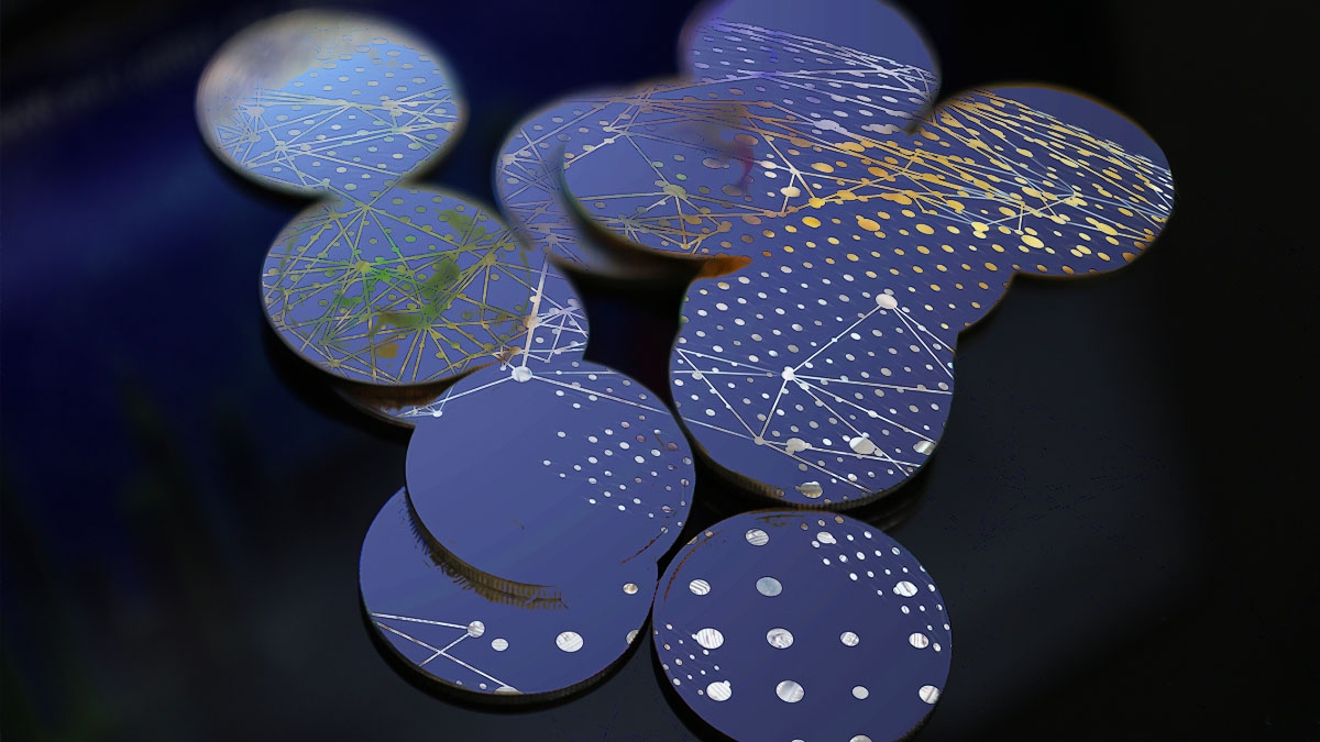 Solana基金会主席Lily Liu专访：未来或将携手美国政府| HTX Insights