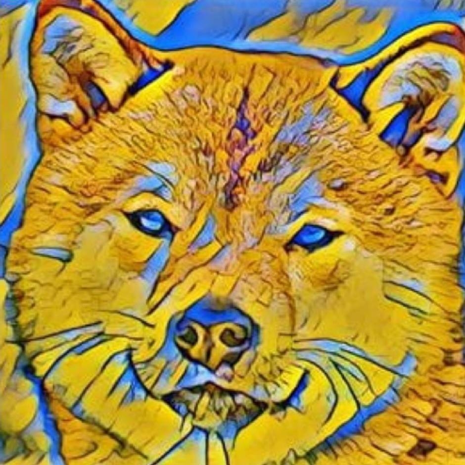 Picture of the author