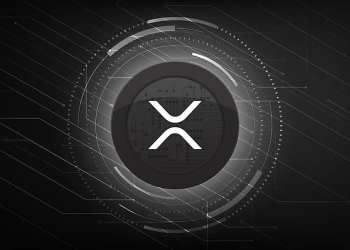 XRP Burn Rate: Here’s How Many Coins Are Gone Forever