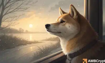 Metrik Keuntungan Dogecoin Capai Titik Terendah 2 Tahun – Apakah DOGE Sudah Sampai Dasar?