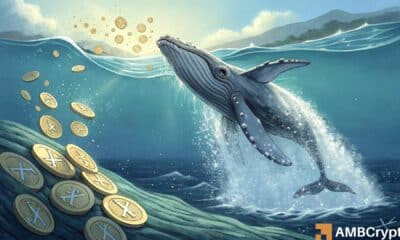 Whale activity explodes as XRP holds $2.30: Bullish continuation ahead?