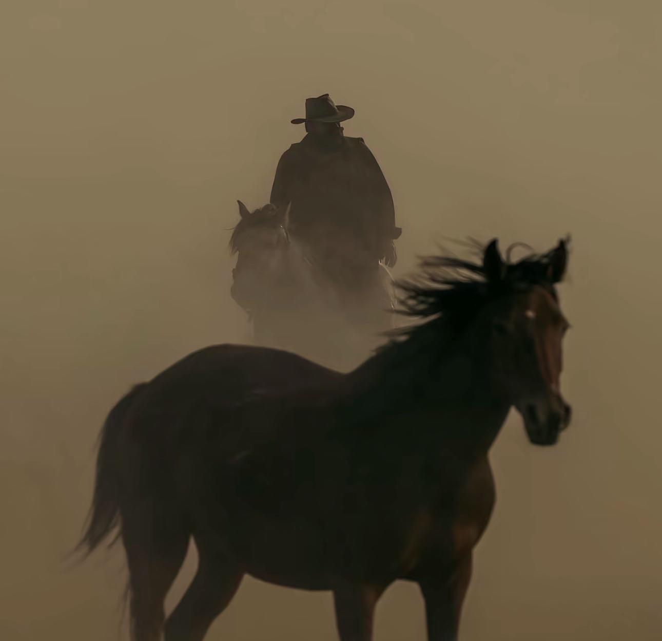 Picture of the author