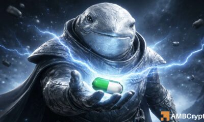 WhiteWhale se detiene tras un salto del 134% – ESTAS 2 presiones pesan sobre los alcistas