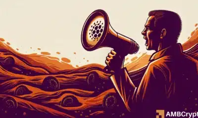 CLARITY Act: Hoskinson questions Ripple CEO’s ‘better than no clarity’ remark