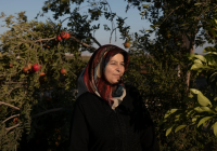 Stablecoin Afghanistan: Sebuah Situs Inovasi Kripto yang Terabaikan