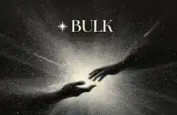 种子轮融资800万美元，Bulk Trade凭什么生闯Perp DEX红海？