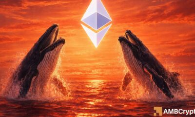Ethereum: Cá voi tích lũy khi ETH giảm 16% – Chỉ BỨT PHÁ NẾU…