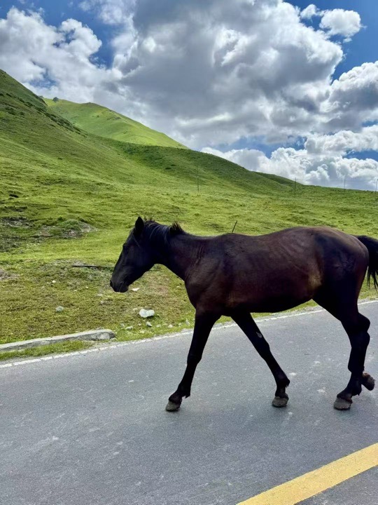 请检查网络连接