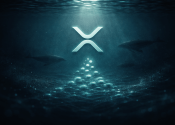‘Millionaire’ XRP Addresses Rising For First Time Since September, Data Shows