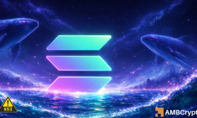 Bên trong hoạt động mua vào của cá voi Solana, nhu cầu ETF và rủi ro giảm giá gia tăng