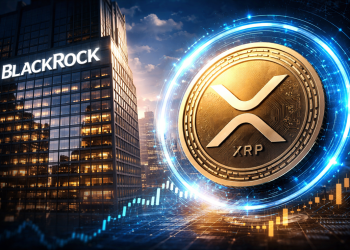 BlackRock XRP ETF Next? Canary CEO Eyes Late 2026