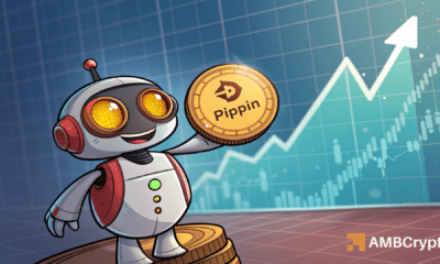 PIPPIN melonjak 25% namun jumlah pemegang menurun: Apakah rally akan segera berakhir?