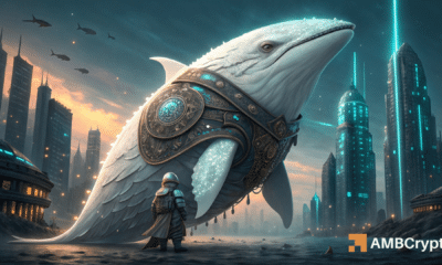 ¡He aquí por qué WHITEWHALE se disparó un 72% tras una caída 'artificial' del 86%!