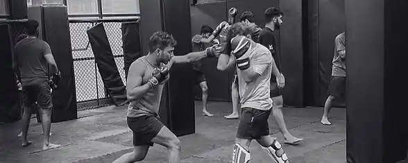 Después de dos años de artes marciales, descubrí que los que pierden dinero en las criptomonedas son siempre el mismo tipo de persona