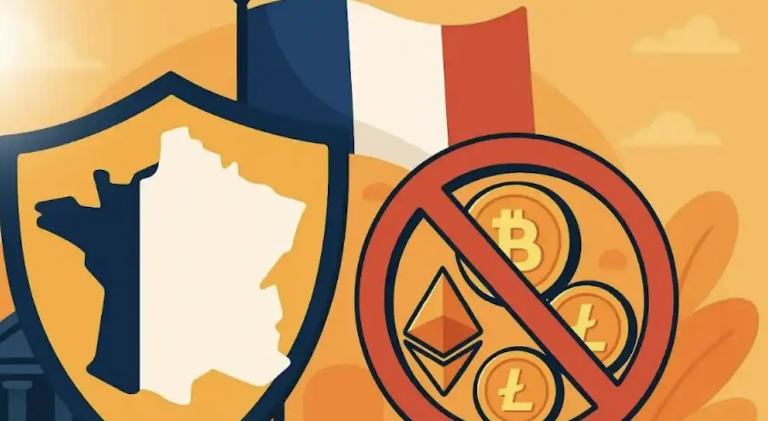 Balancing Compliance and Innovation: A Study of France's Crypto Asset Taxation and Regulatory System