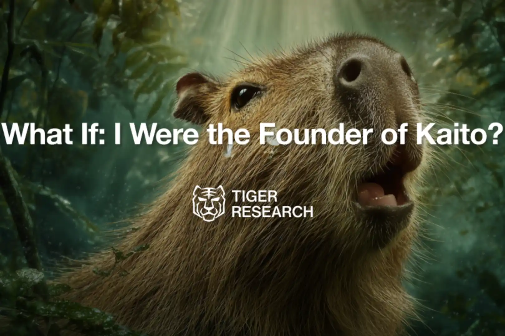 Tiger Research: If I Were the Founder of Kaito, How Would I Make Decisions in the Face of InfoFi's Upheaval?