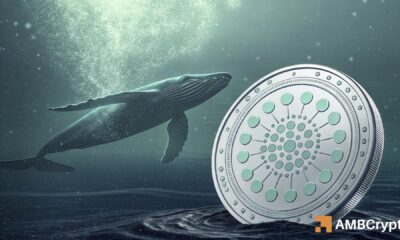 Cardano bajo presión mientras ballenas compran 210 millones: ¿Despegue o falsa señal? ¿Qué se avecina?