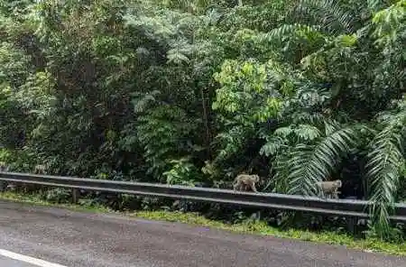 Vitalik: Desentralisasi Tanpa Kehilangan Komersialitas, Solusi 'Simbiosis' dalam Perspektif Keseimbangan Kekuasaan