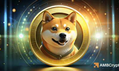 Dogecoin –  Understanding the impact of whales’ redistribution of 410M DOGE